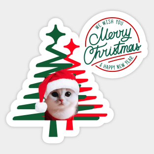 Cute Cat in Santa Hat with green and red Christmas tree ,Brafdesign Sticker